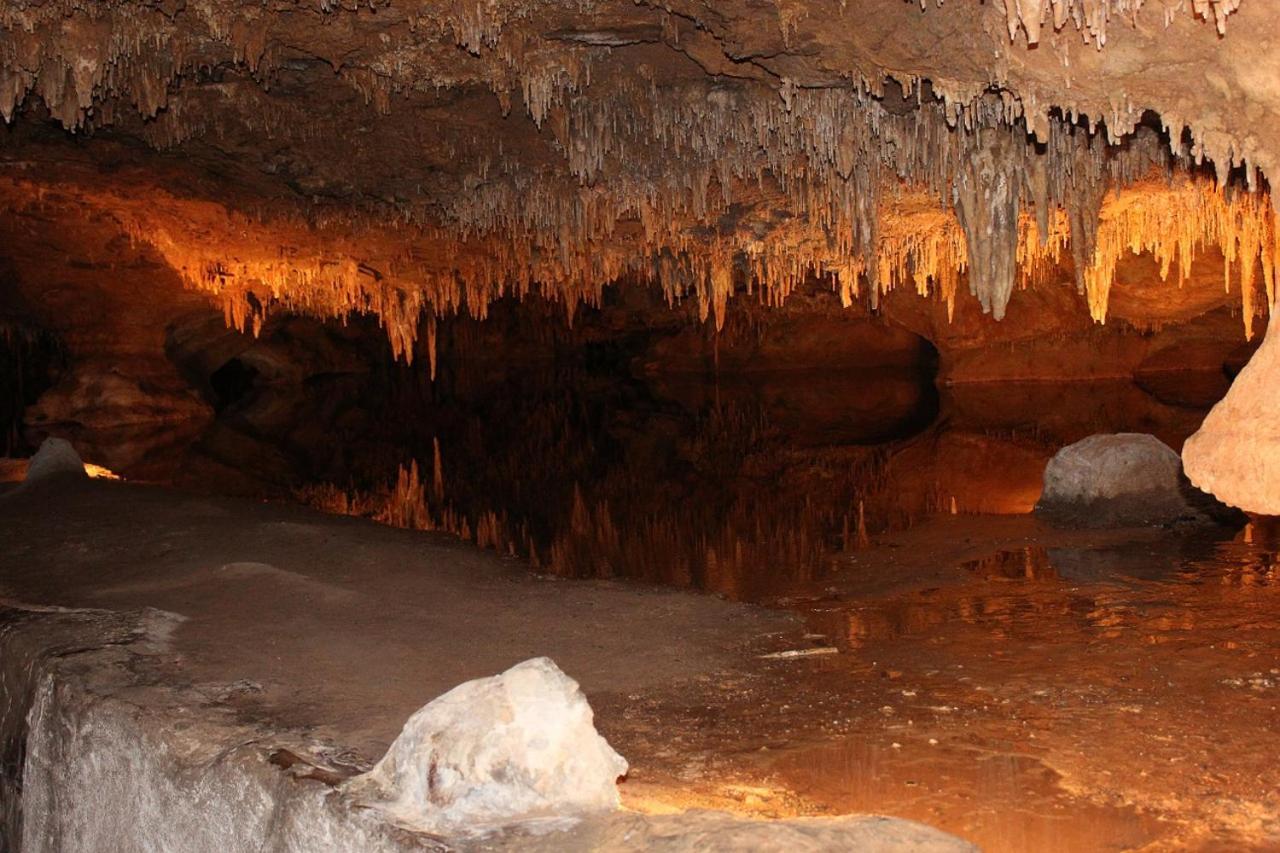 Le Verger De Jastres Saint-Didier-sous-Aubenas Dış mekan fotoğraf